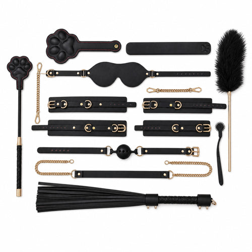 Thermo-Sensitive Advanced Restraint Kit with Thorn Rose and Cat Paw styles - image 2